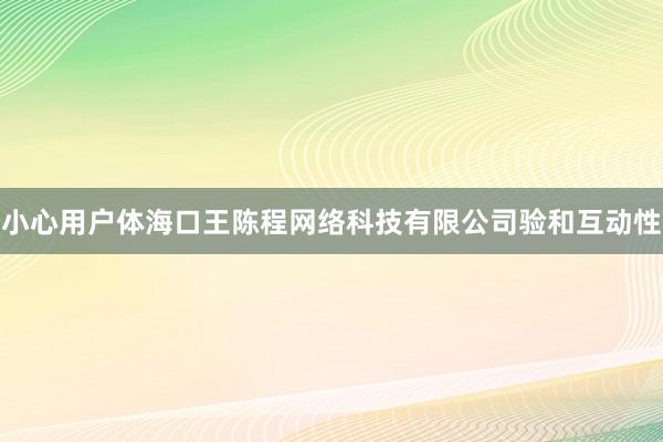 小心用户体海口王陈程网络科技有限公司验和互动性
