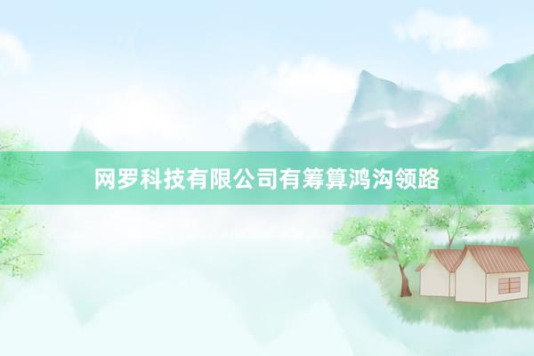 网罗科技有限公司有筹算鸿沟领路