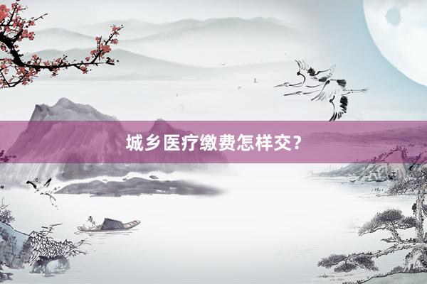 城乡医疗缴费怎样交？