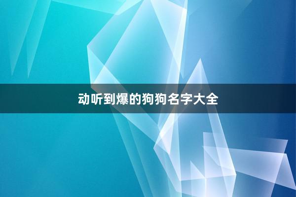 动听到爆的狗狗名字大全